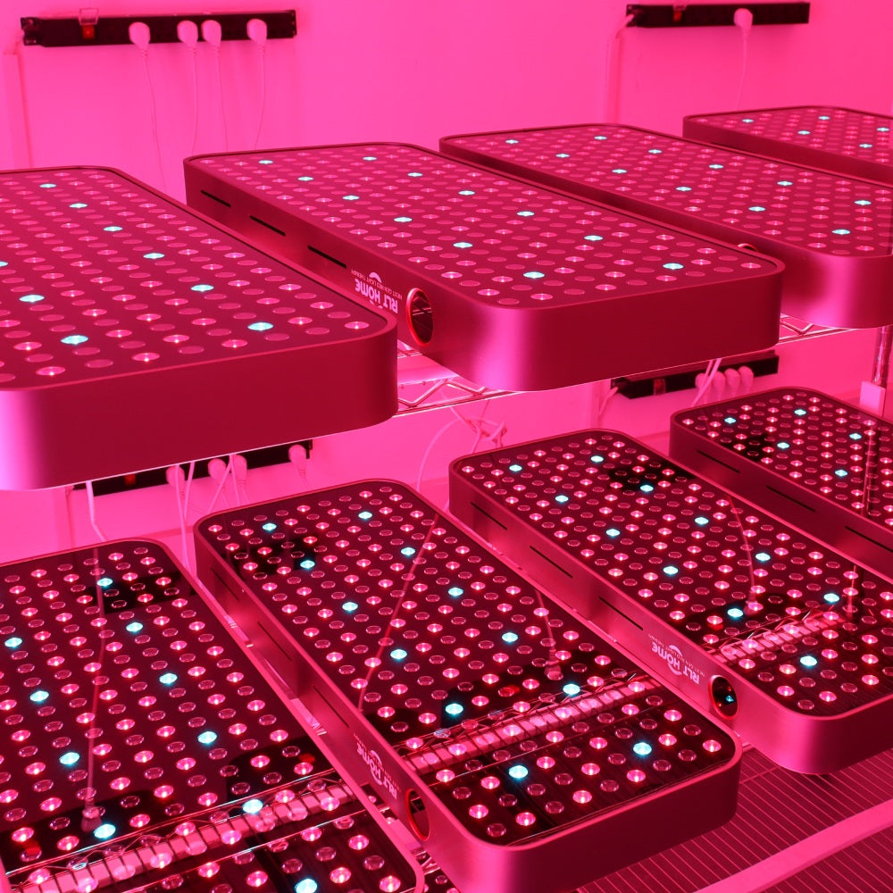 Spectrum COMPACT (7 Wave 216 LEDs)