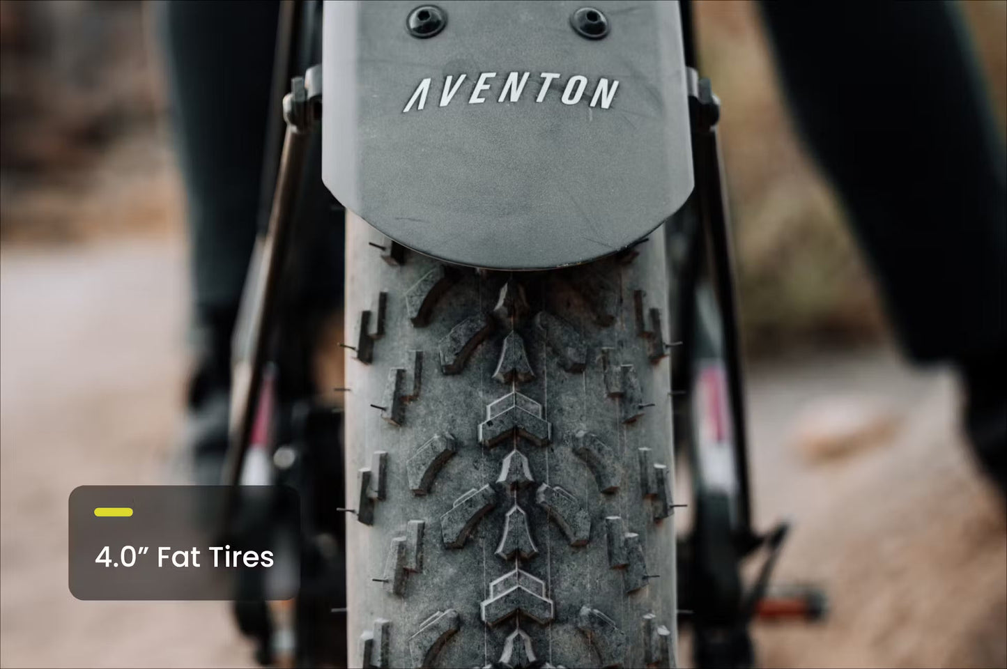 Adventure E-Bike