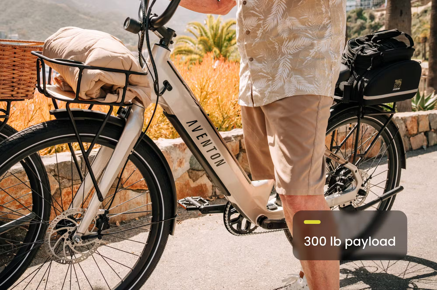 Pace 4 Step-Through E-bike