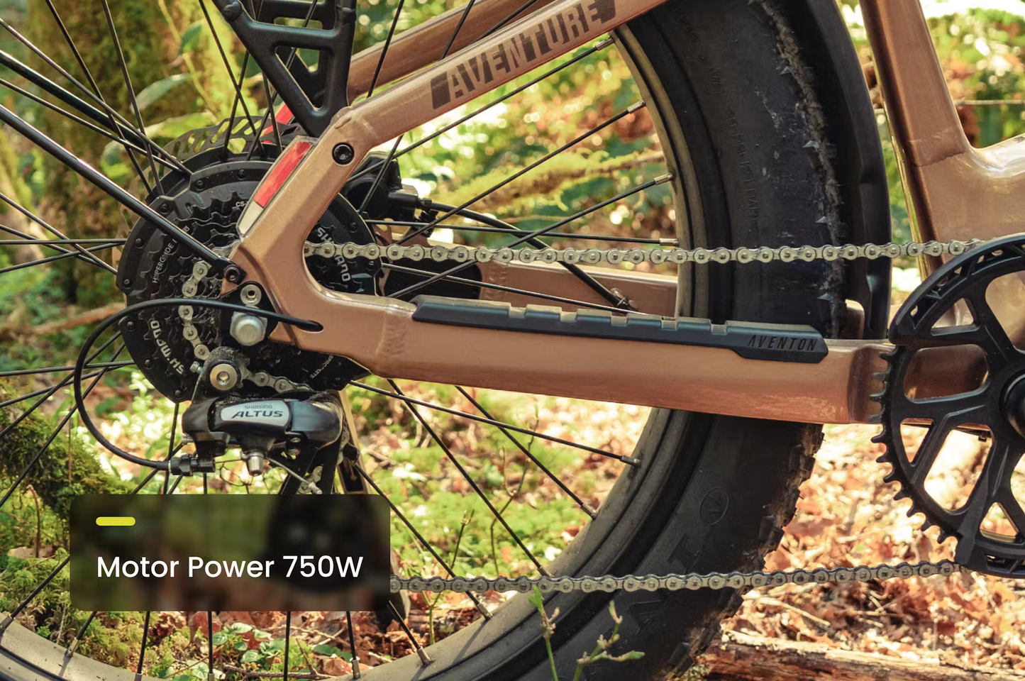 Adventure.3 E-Bike Step-Through