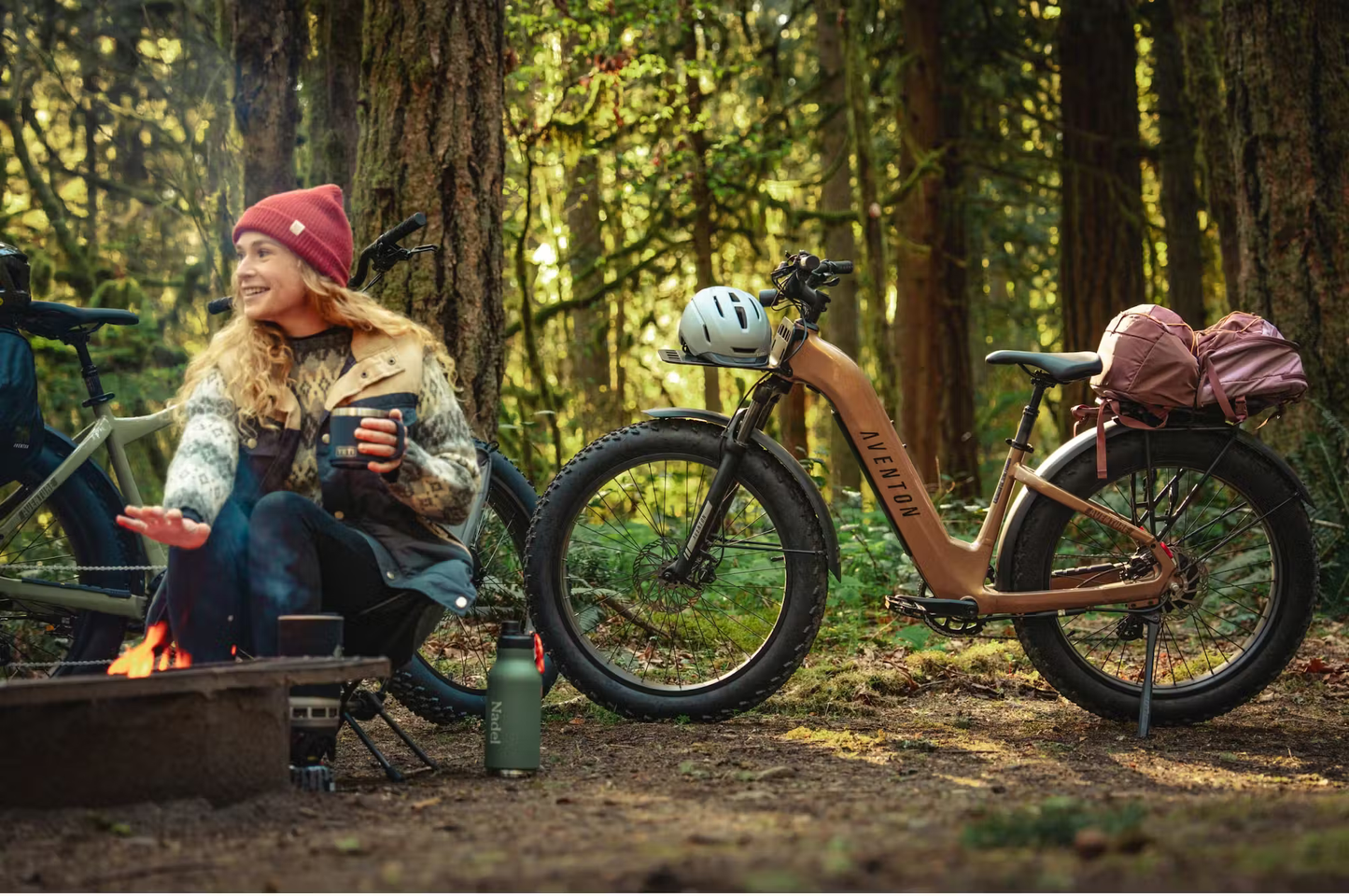 Adventure.3 E-Bike Step-Through