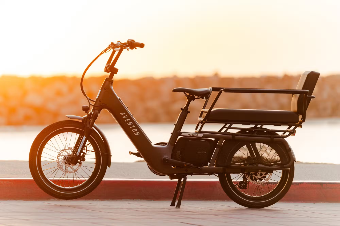 LR Cargo E-Bike