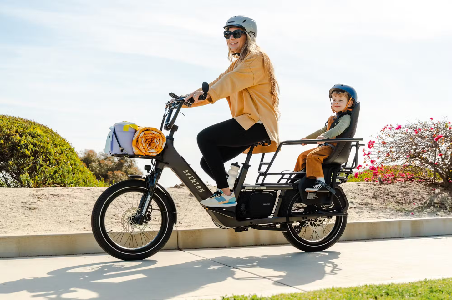 LR Cargo E-Bike