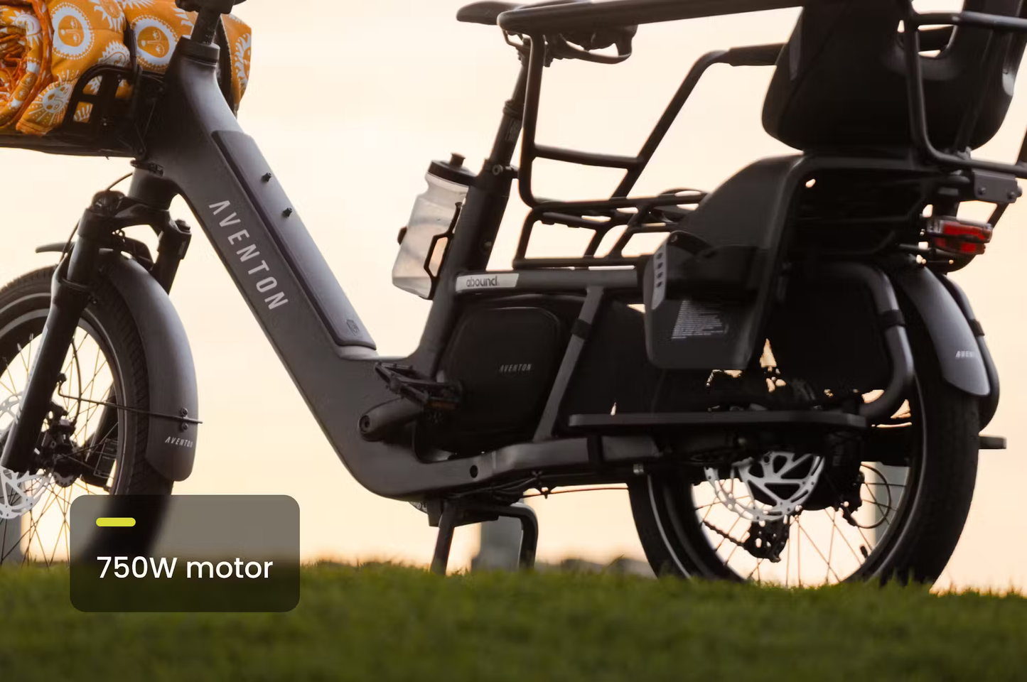 LR Cargo E-Bike