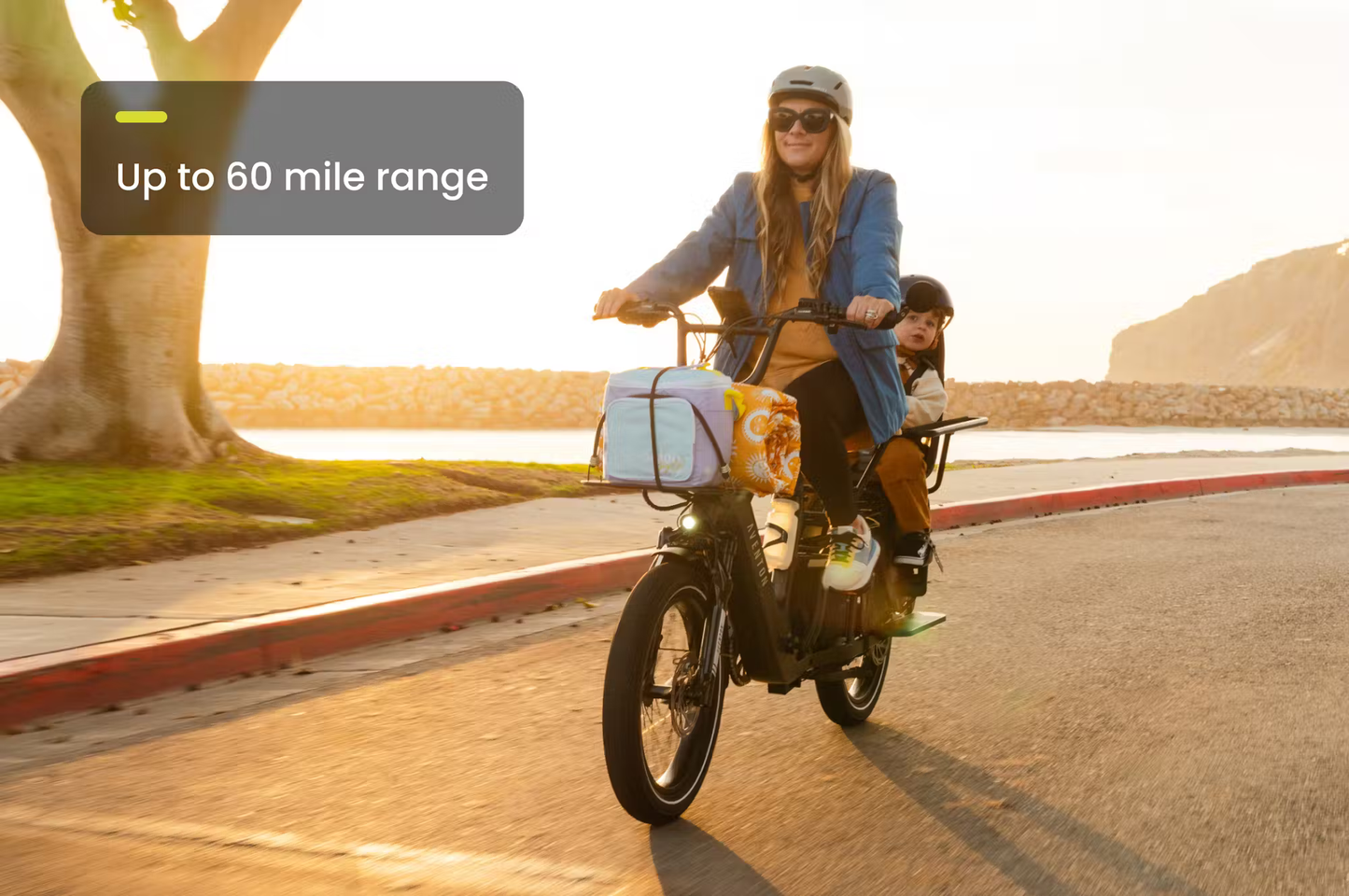 LR Cargo E-Bike