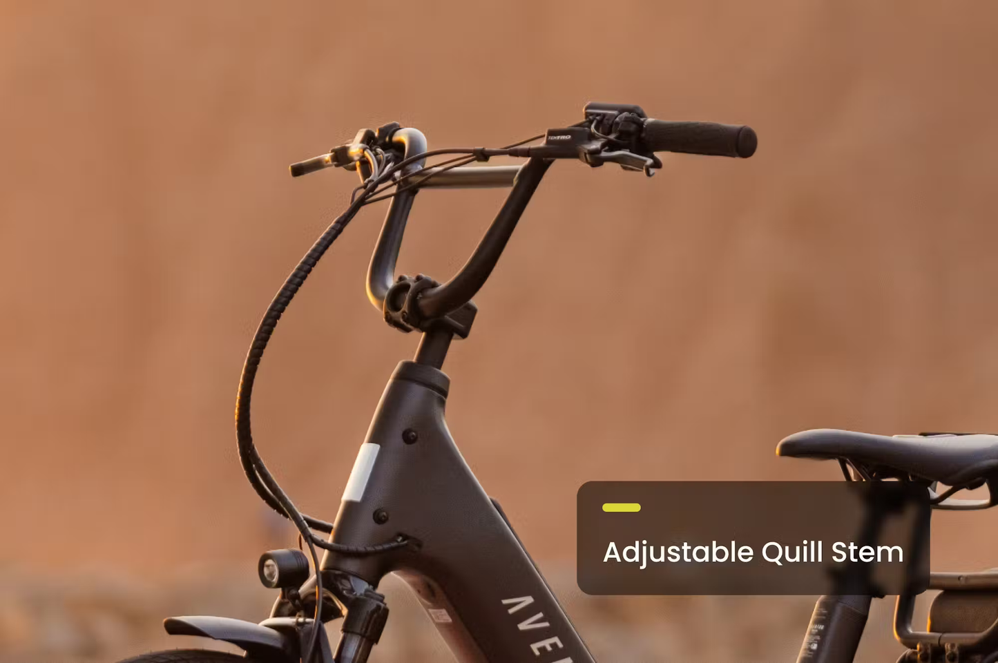 LR Cargo E-Bike