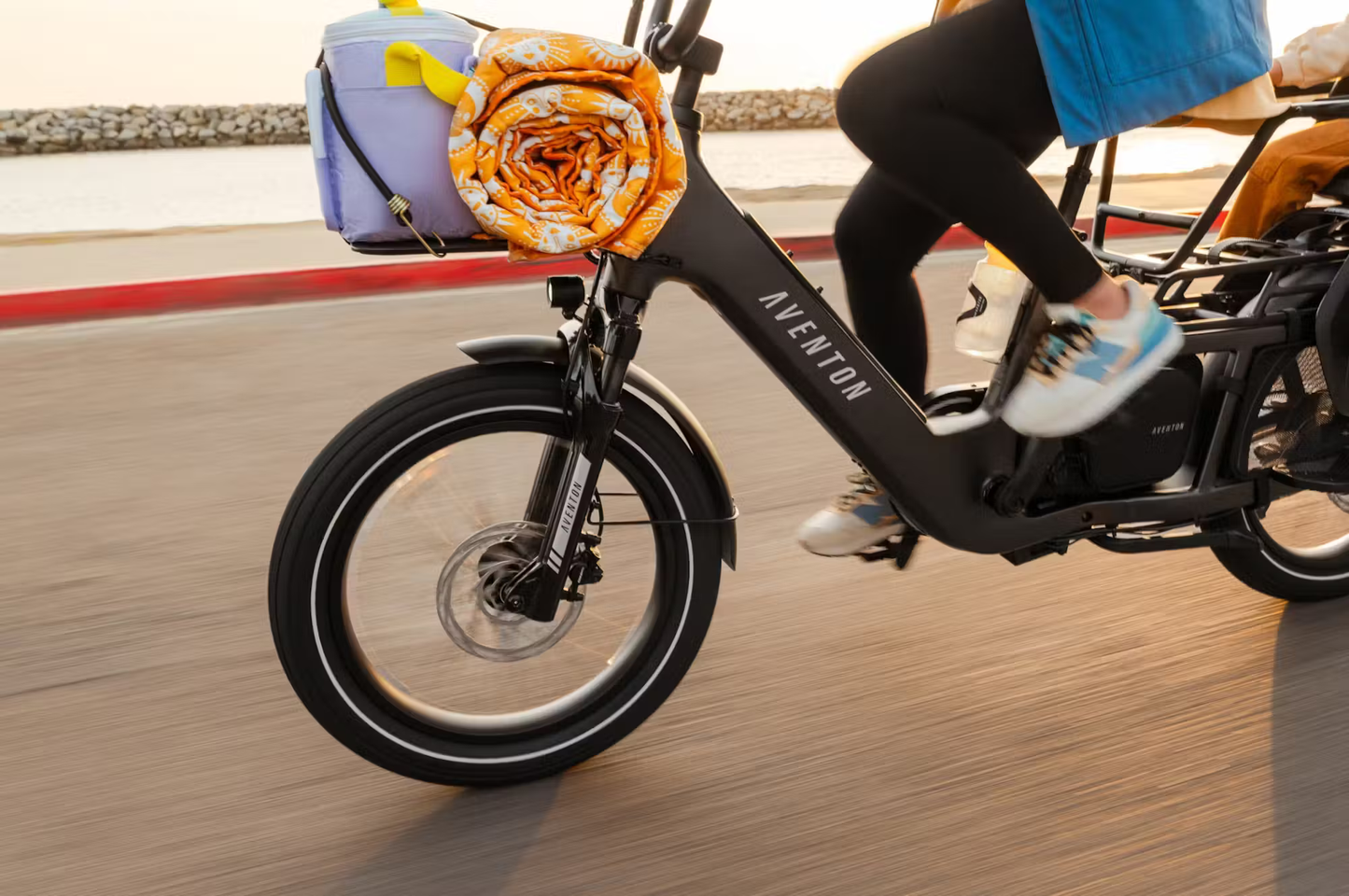 LR Cargo E-Bike